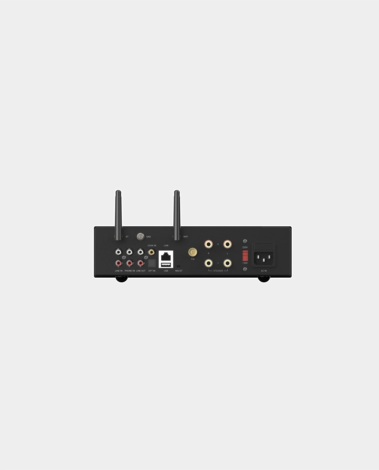 Arylic A100 - immagine 3